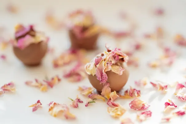 Casino Chilli Spins Android/iOS App